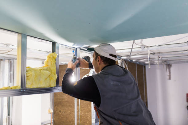 Best Spray Foam Insulation  in Wilson, AR