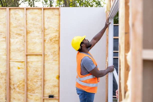 Best Cellulose Insulation  in Wilson, AR