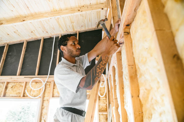 Best Insulation Contractors for Homes  in Wilson, AR