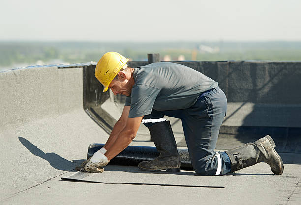 Best Insulation Repair Services  in Wilson, AR